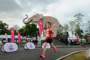 BIB: 
                            <button type="button" onclick="openModal(26528385)" class="btn btn-primary btn-sm float-right btn-popup" data-toggle="modal" data-target=".modal-high-quality">
                        <i class="fas fa-shopping-cart"></i> Add to Cart
                    </button>
                                            <button type="button" onclick="isThisMe(26528385, true)" class="btn btn-success btn-sm float-right btn-popup btn-isme hidden" data-toggle="tooltip" data-placement="bottom" title="นี่คือรูปของคุณใช่ไหม คลิกที่นี่เพื่อเอาเข้าอัลบั้ม">
                        <i class="fas fa-plus"></i> Add to album
                    </button>
                    <button type="button" onclick="isThisMe(26528385, false)" class="btn btn-warning btn-sm float-right btn-popup btn-isnotme hidden">
                        <i class="fas fa-ban"></i> Remove from album
                    </button>